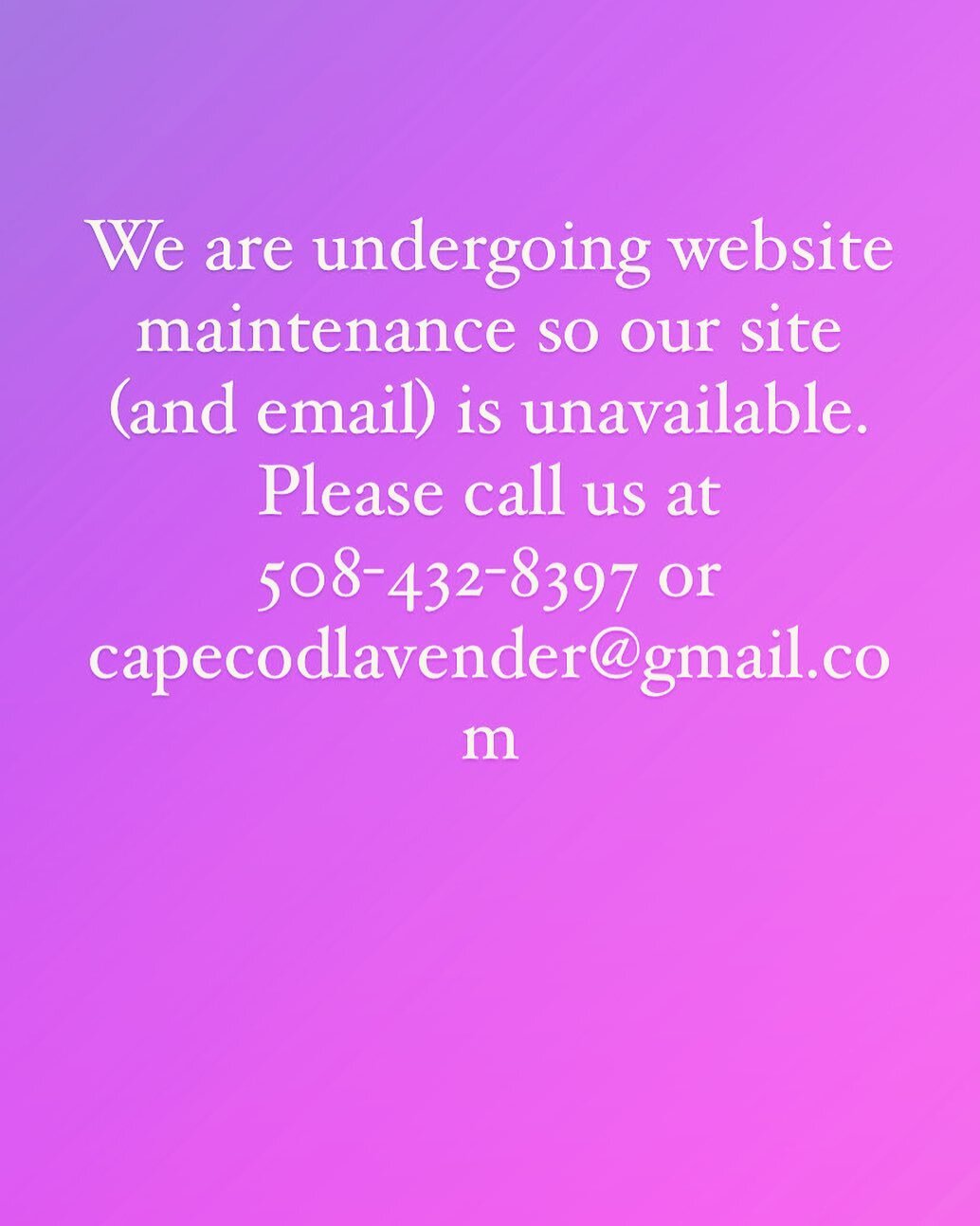 Our email and website is down for maintenance. Please call 508-432-8397 or our gmail account capecodlavender@gmail.com in the interim. Thank you!