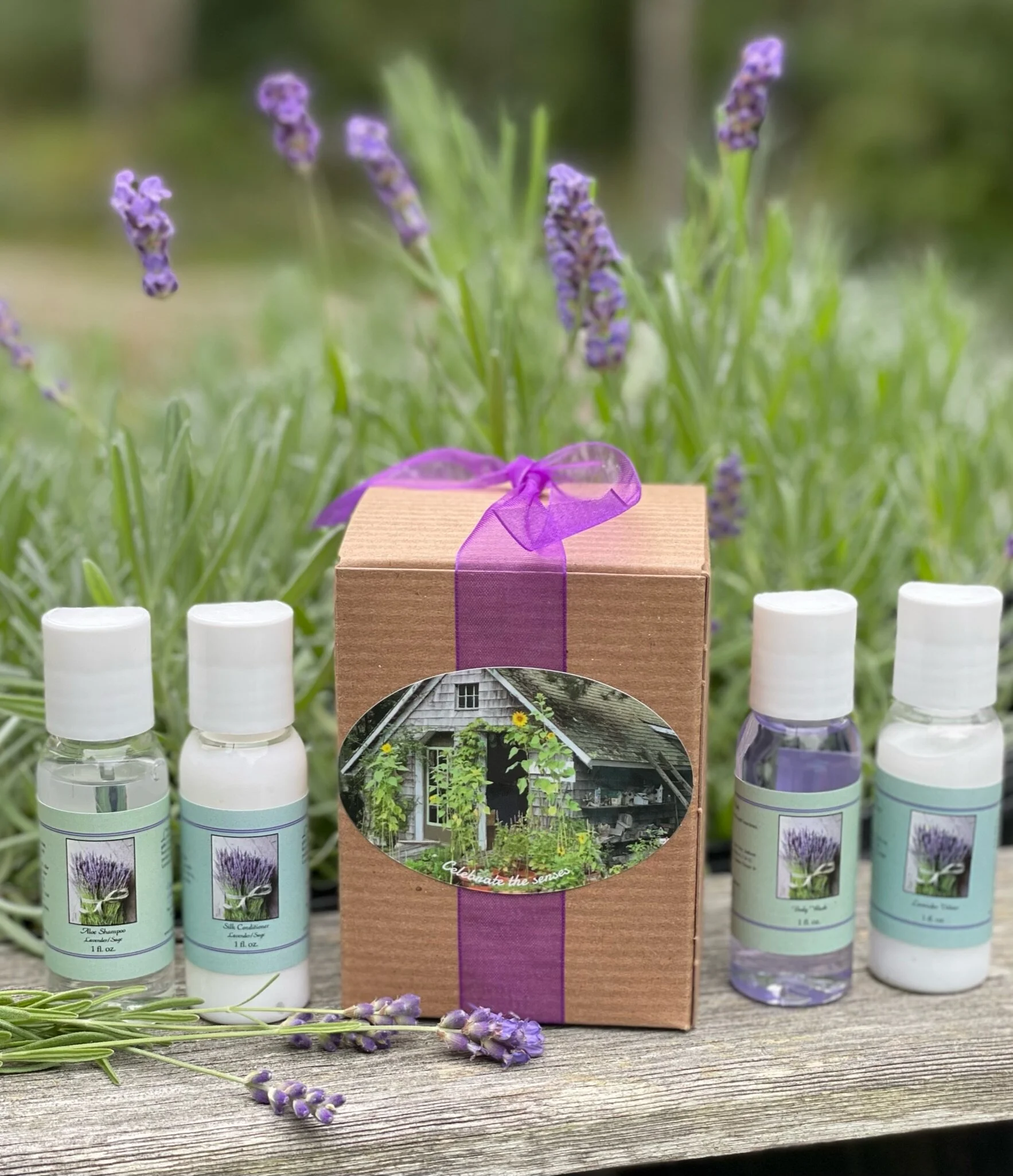 94DA18F6-2D78-429D-9489-B455CB08C607