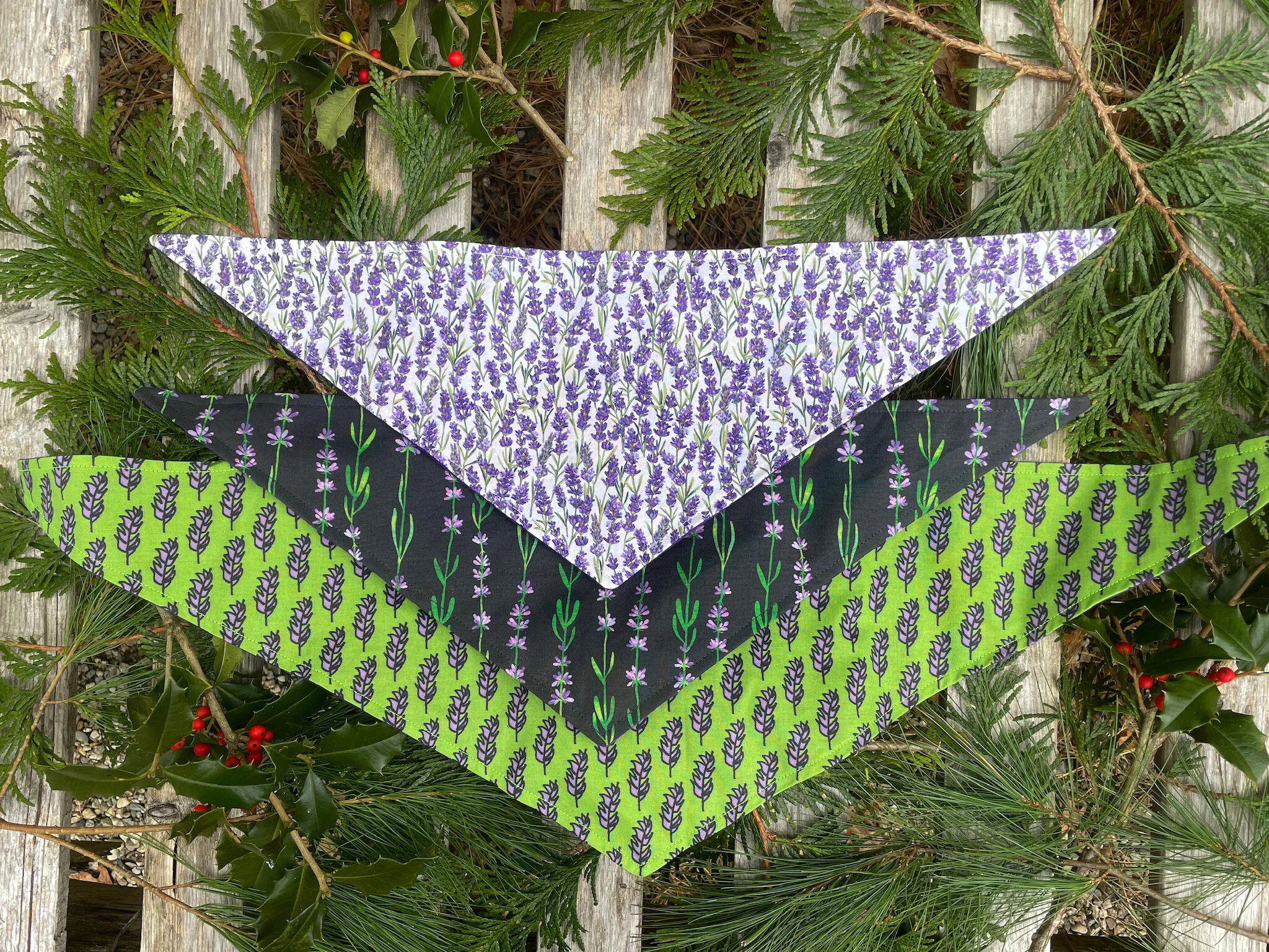 924D40A5-391C-4104-9D5D-024D375A87F4