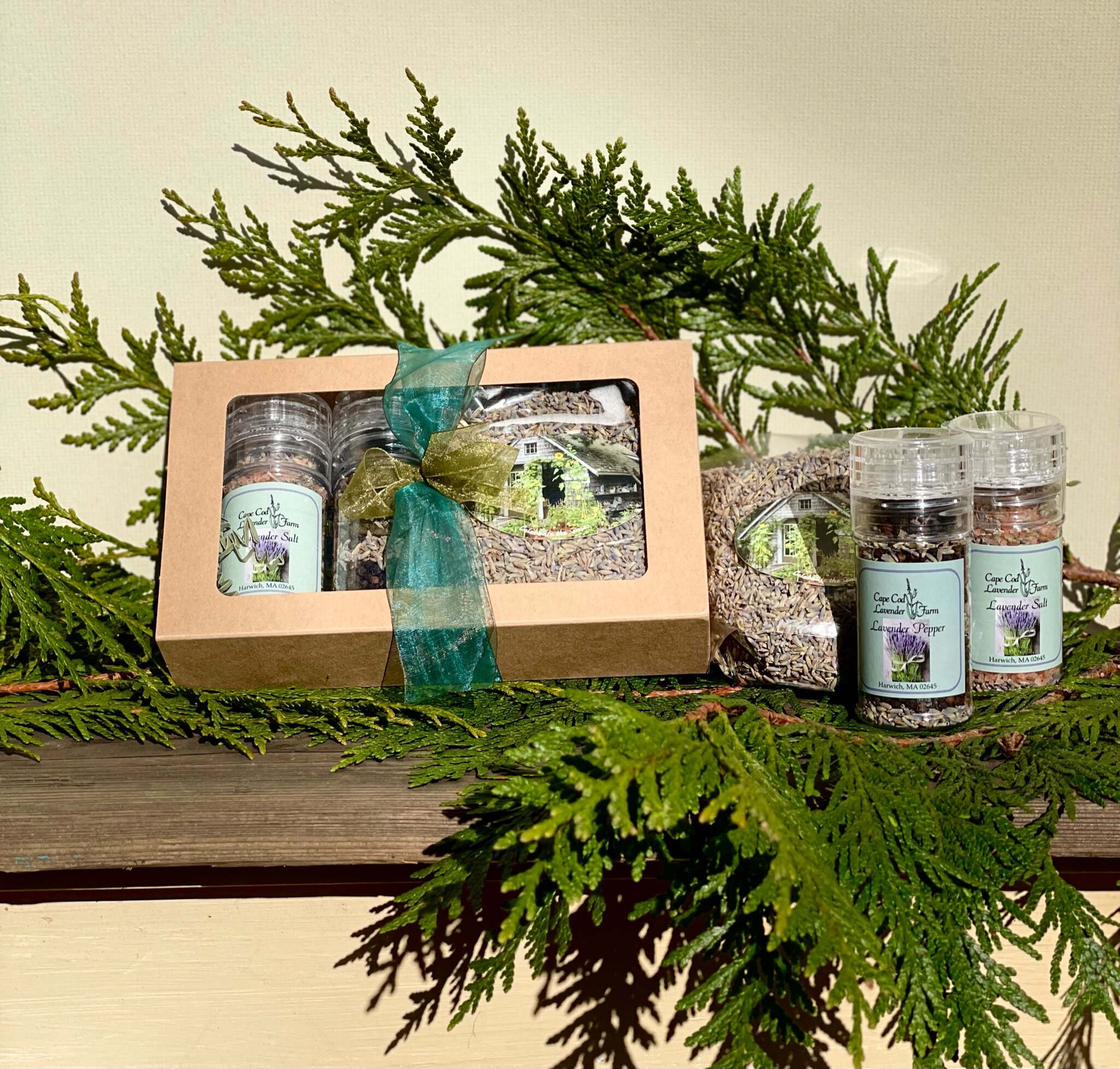 4CE1D3D3-377E-4484-87AB-B465BBC9AC5B