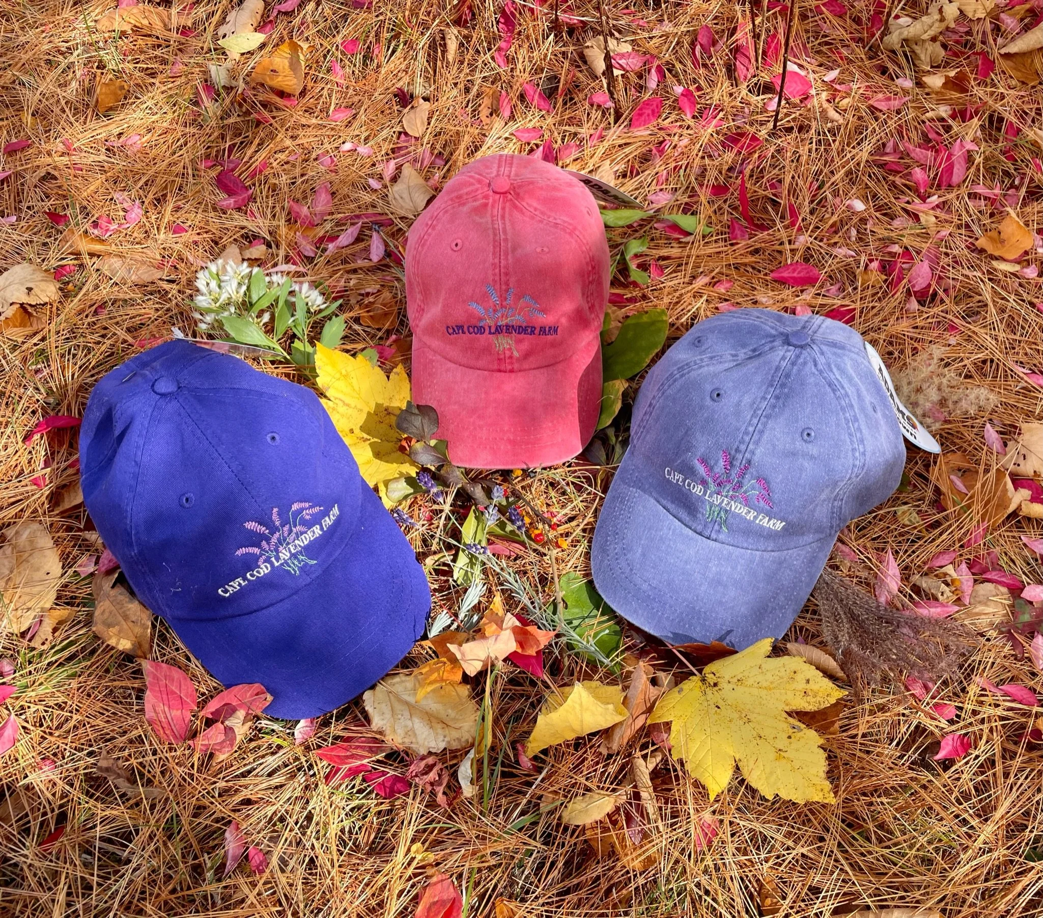Floral Jacquard Camp Cap Lavender main image 1