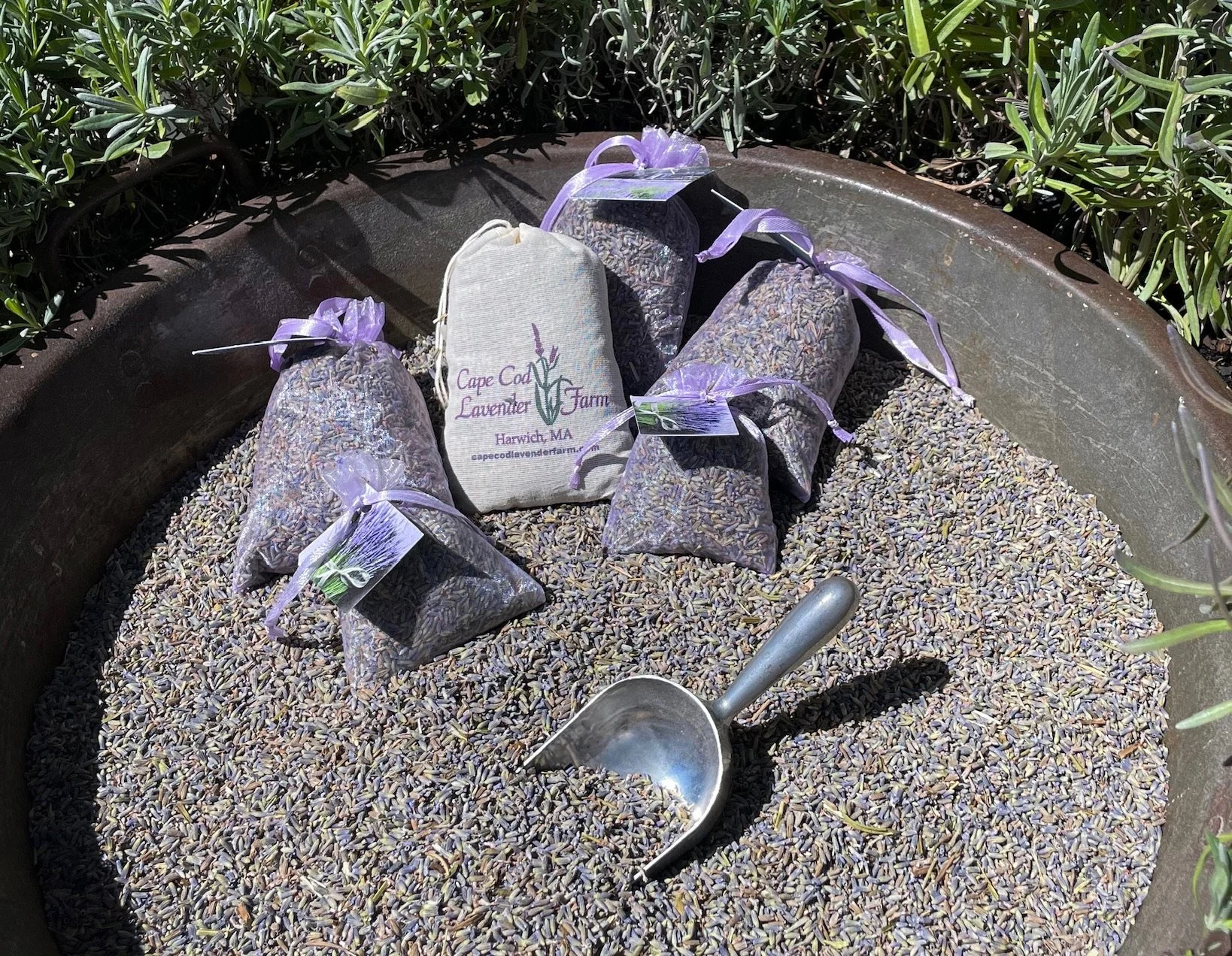 Small Lavender Sachet