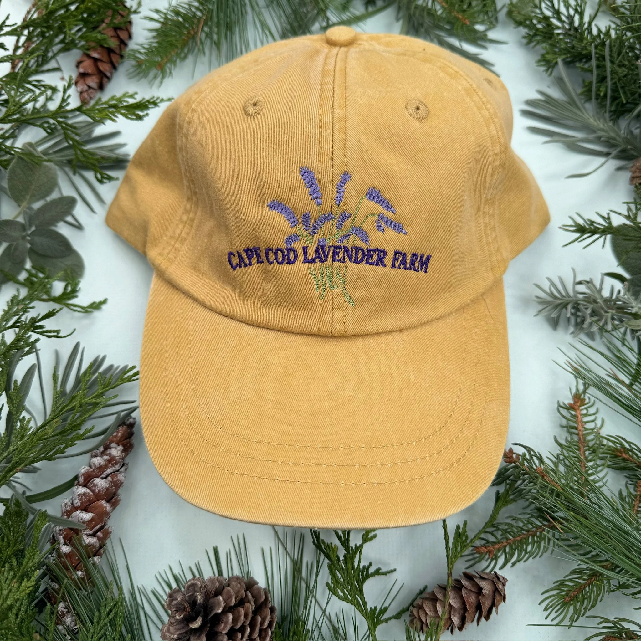 IMG_0045.jpg