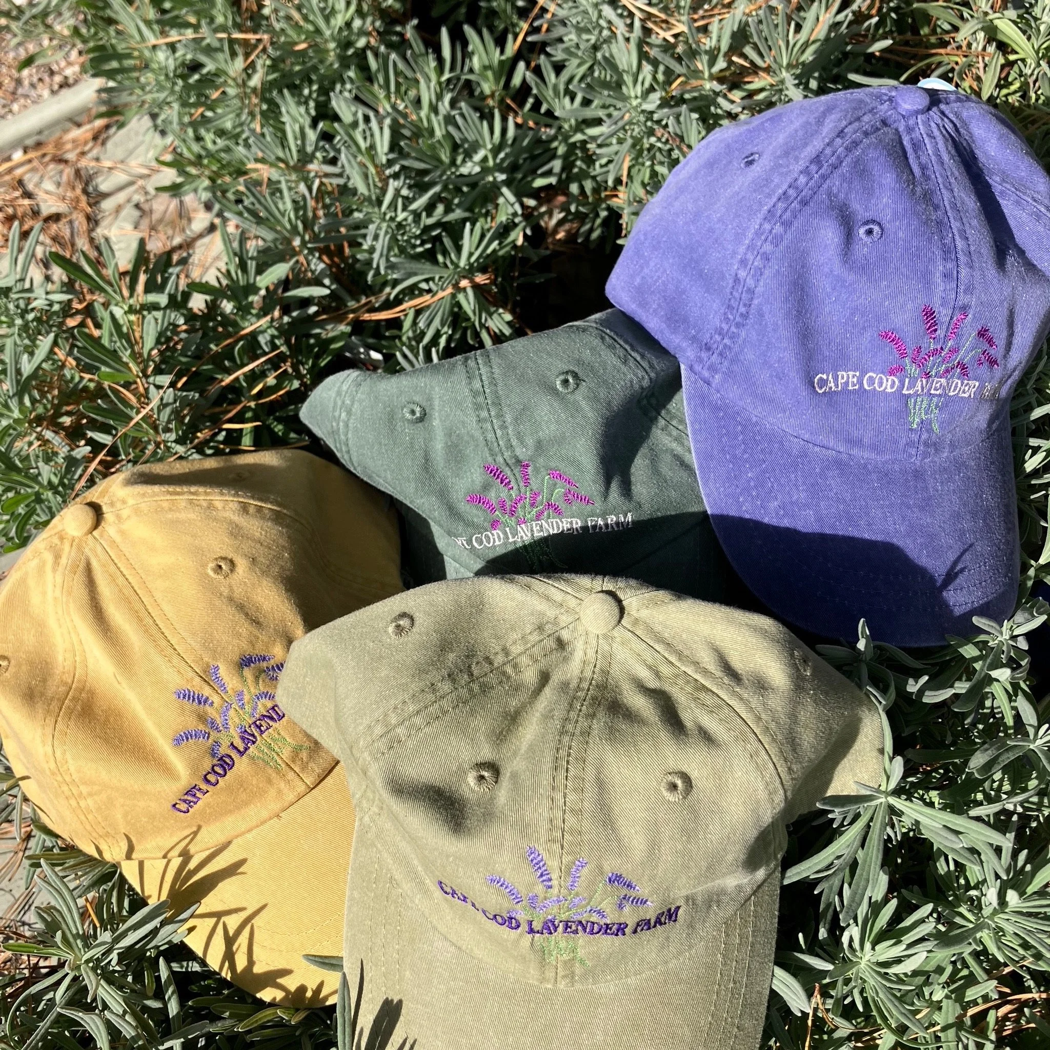 Lavender Farm Cap