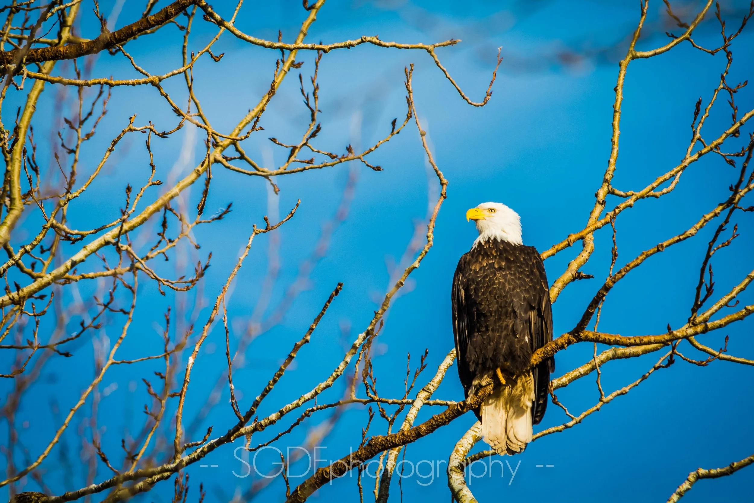 DSC_3574.jpg