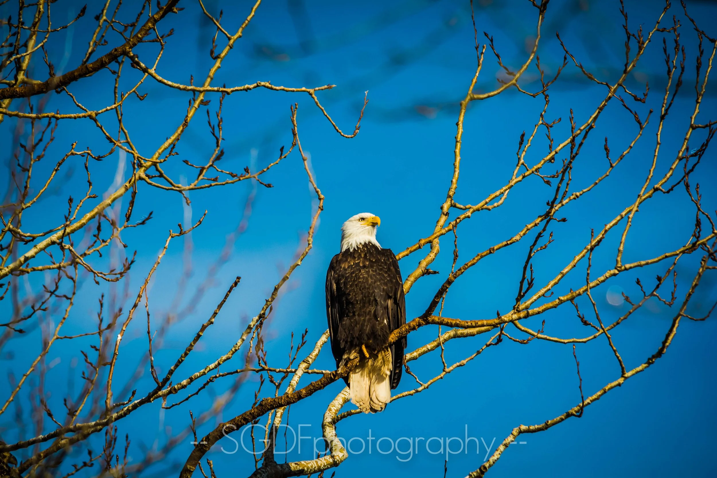 DSC_3576.jpg