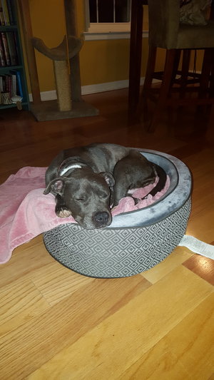 20170301_231107.jpg