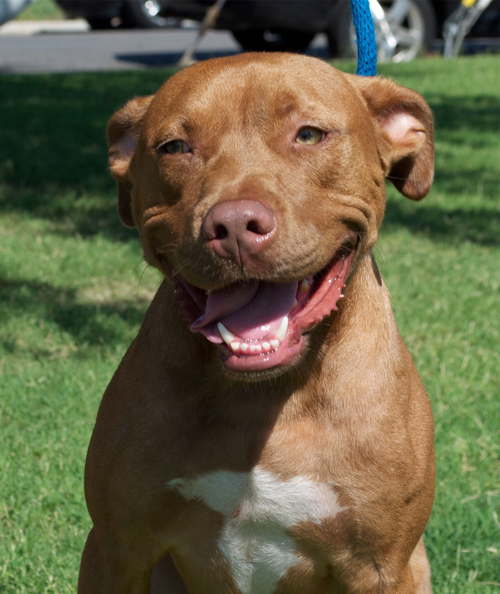Romeo01062015.jpg