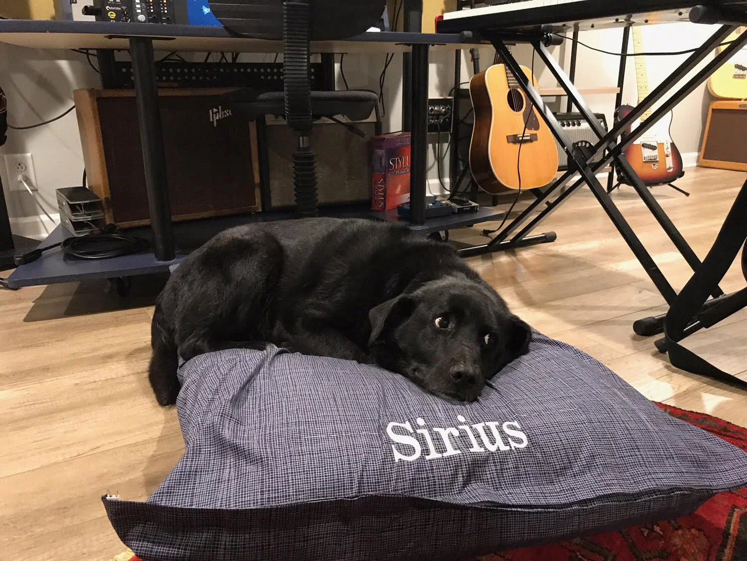 sirius2.jpg