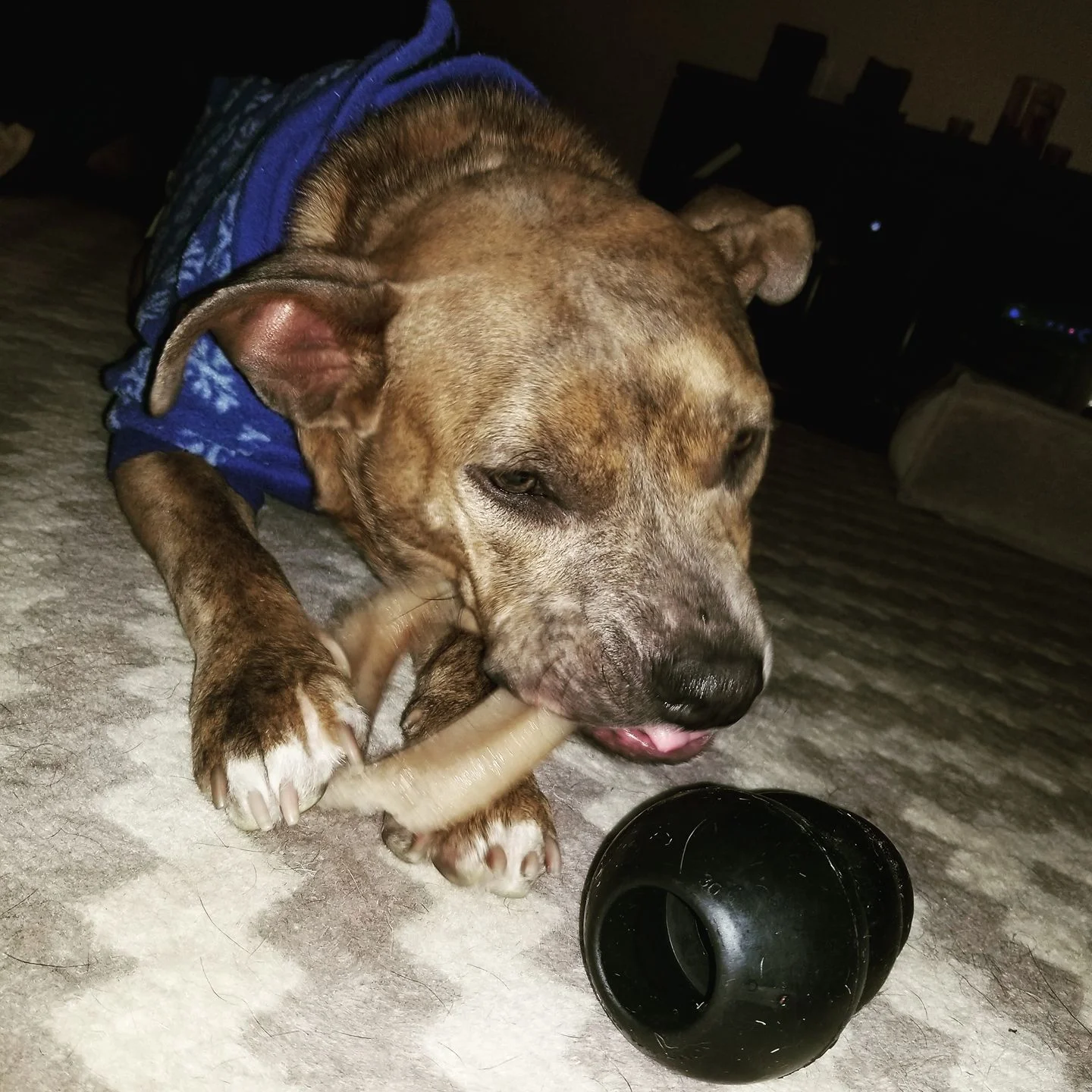 Adoptable Milli Vanilli