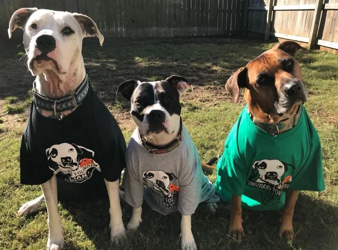 Jasper, SDF alum Bandito and SDF alum Bo Jackson