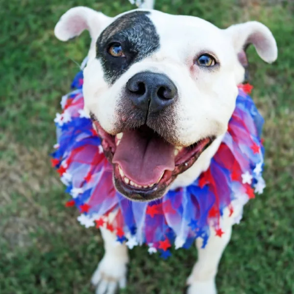 july4thsally.jpg