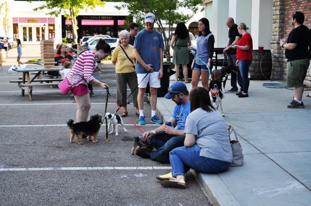 Barktoberfest_10.jpg