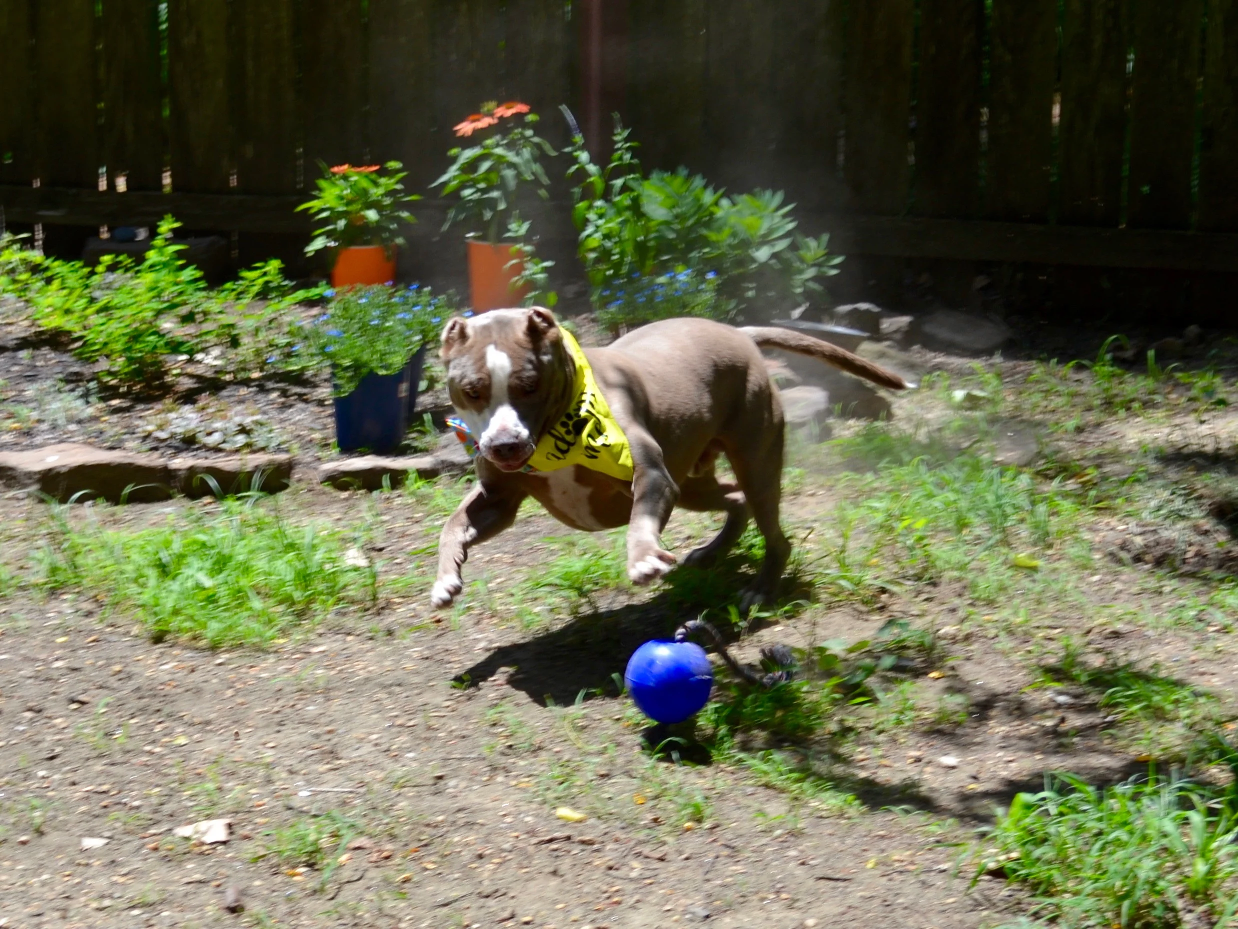 DSC_0467.jpg