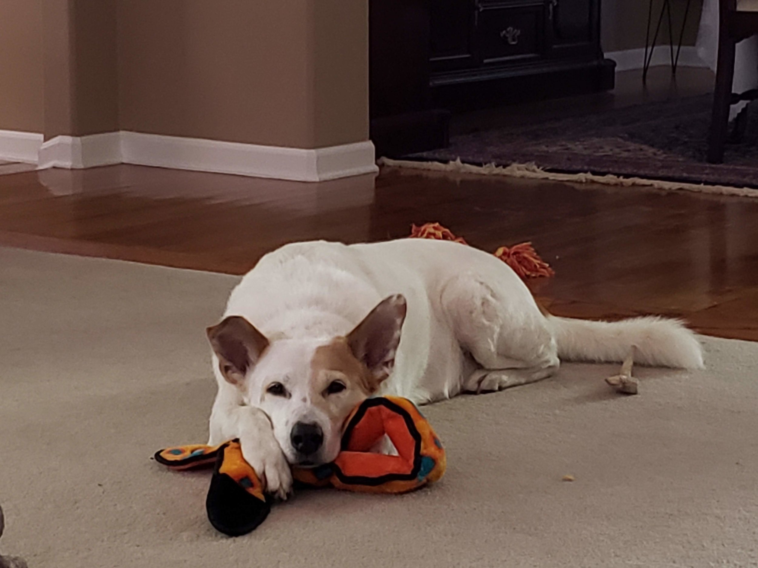 20190428_151953.jpg