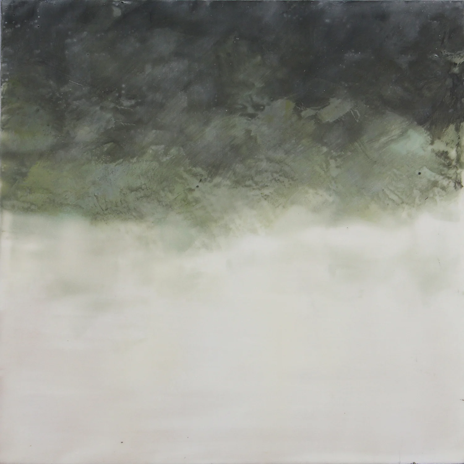 Copse.jpg