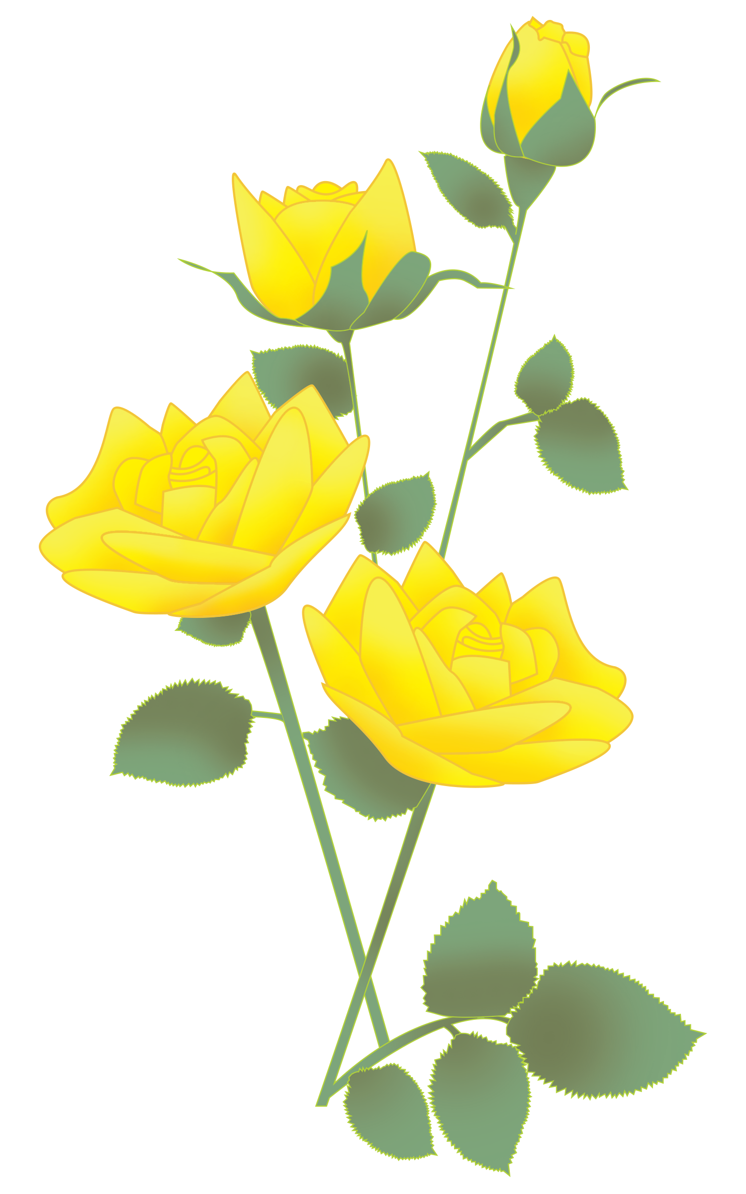 Roses.png