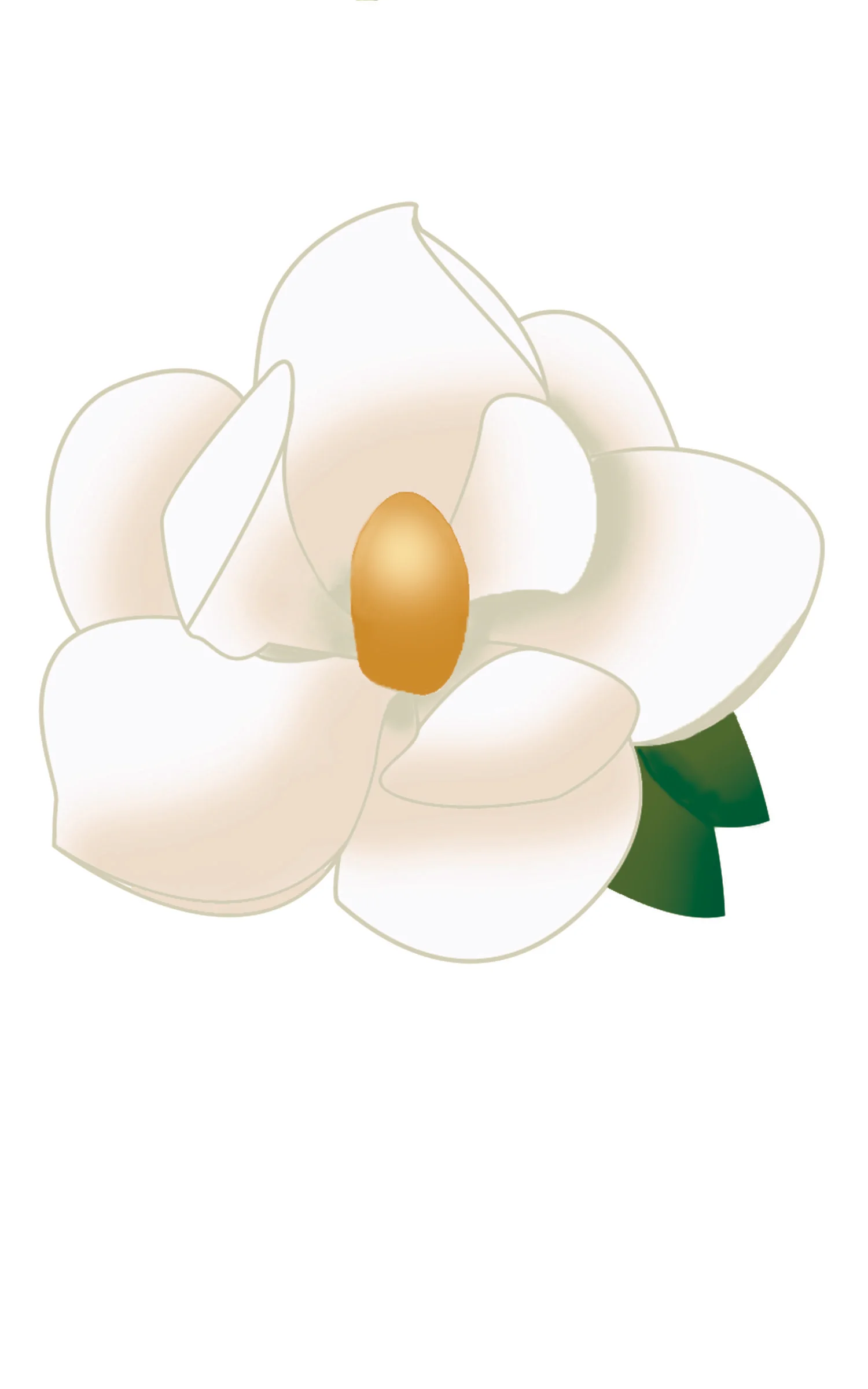 magnolia.jpg