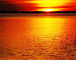 orange water.jpg
