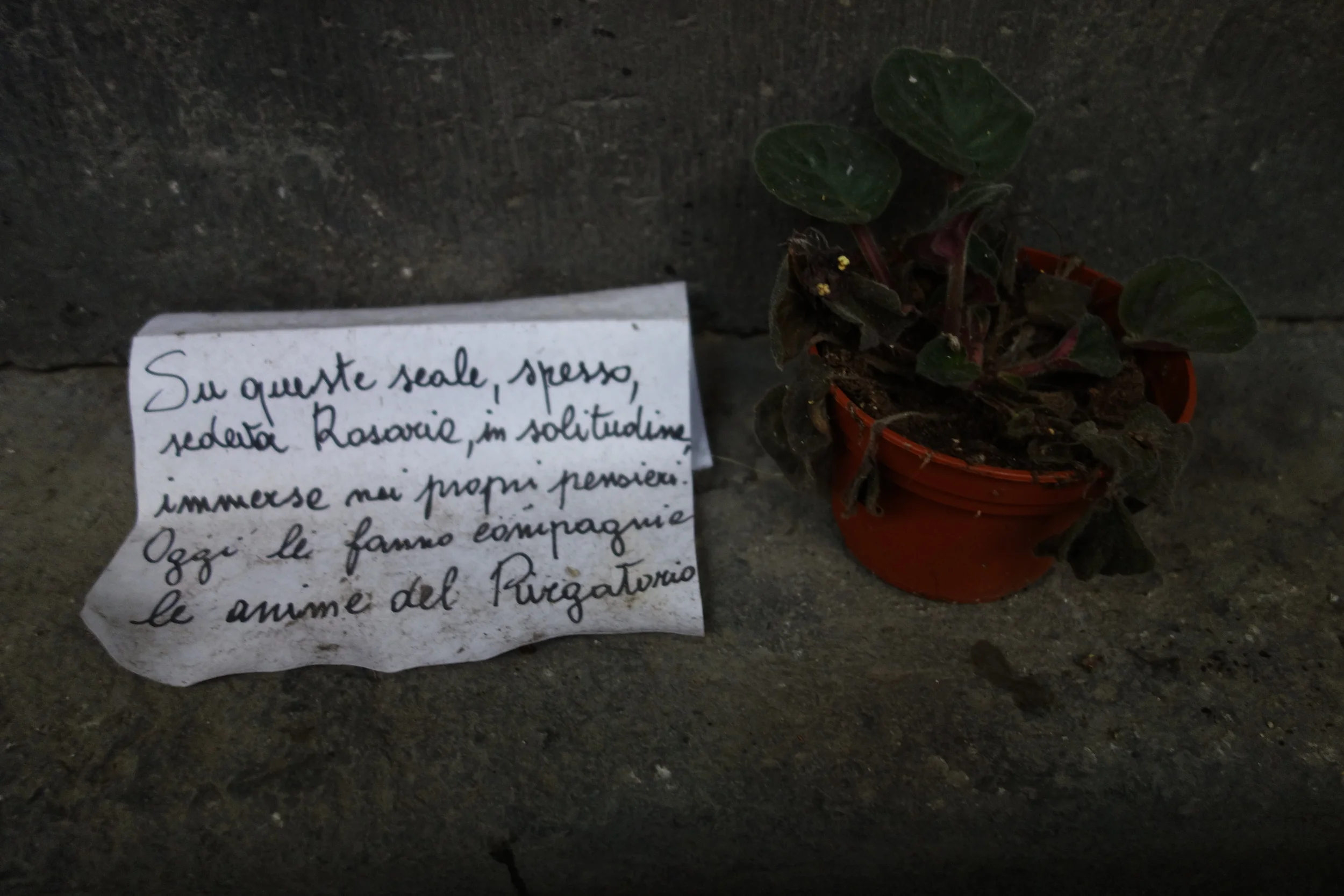 Ad Arco offering.JPG