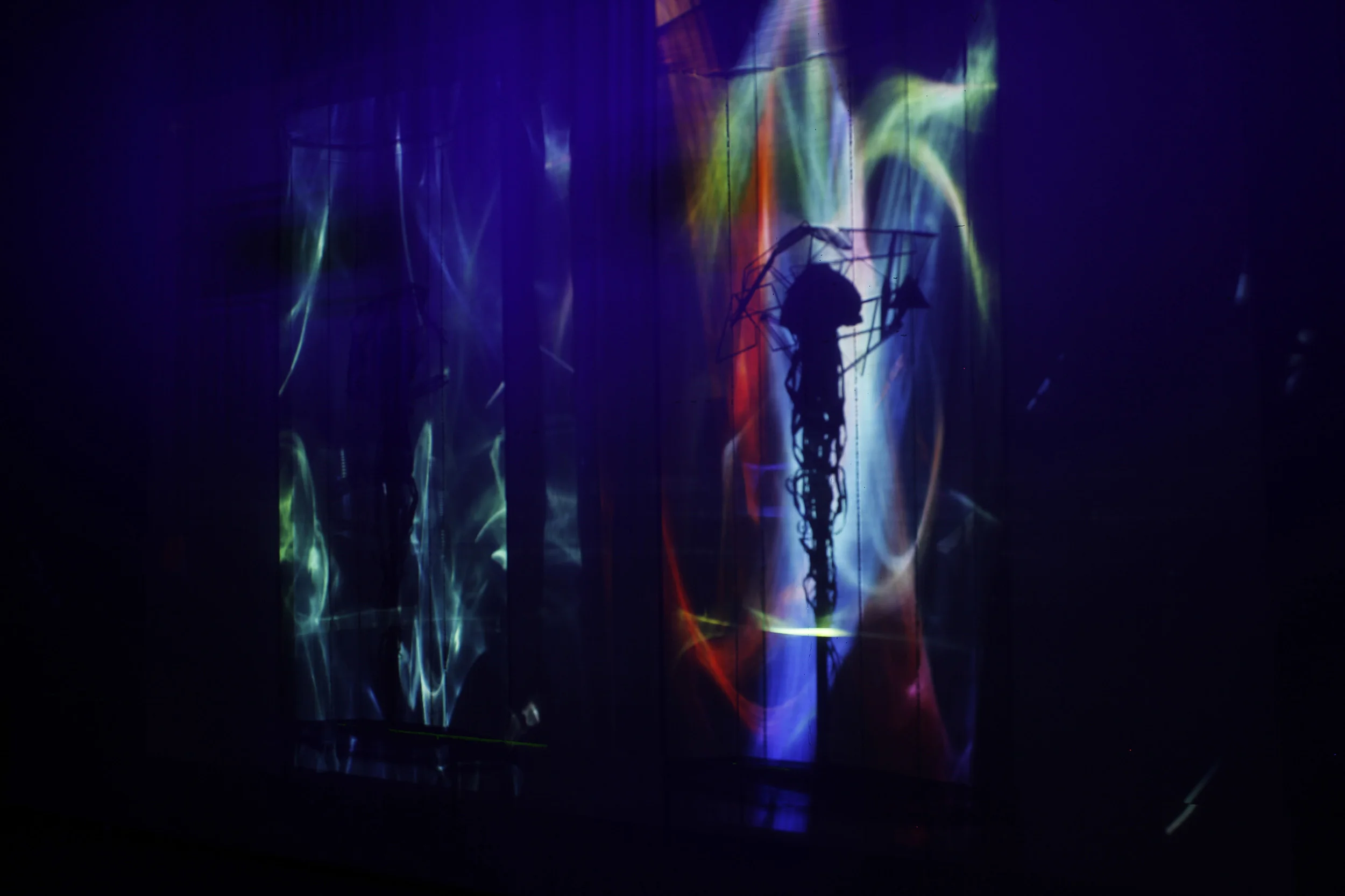 14 Sciatica Detail.JPG