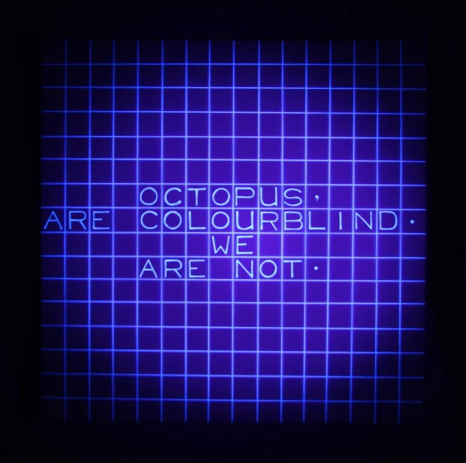 Octopus are Colourblind.jpg
