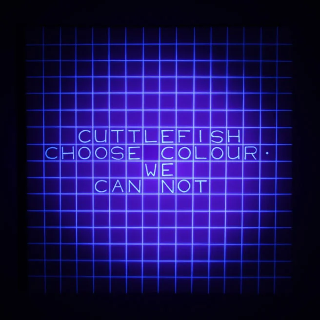 Cuttlefish Choose Colour.jpg