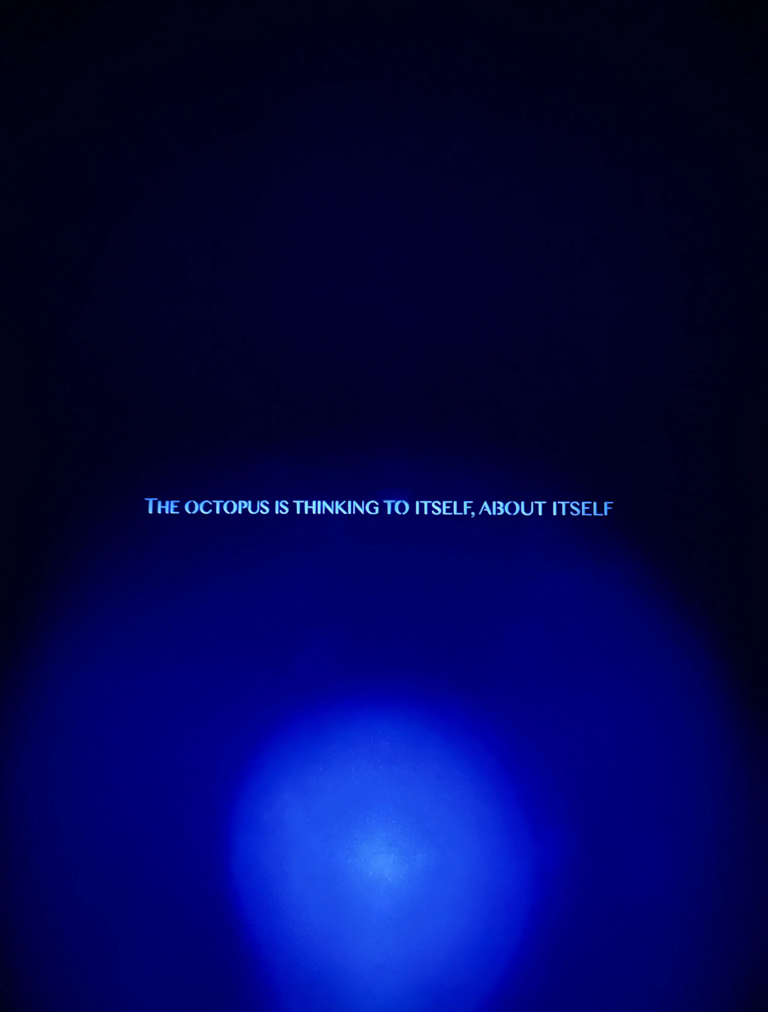 Poster_Octopus is Thinking.jpeg