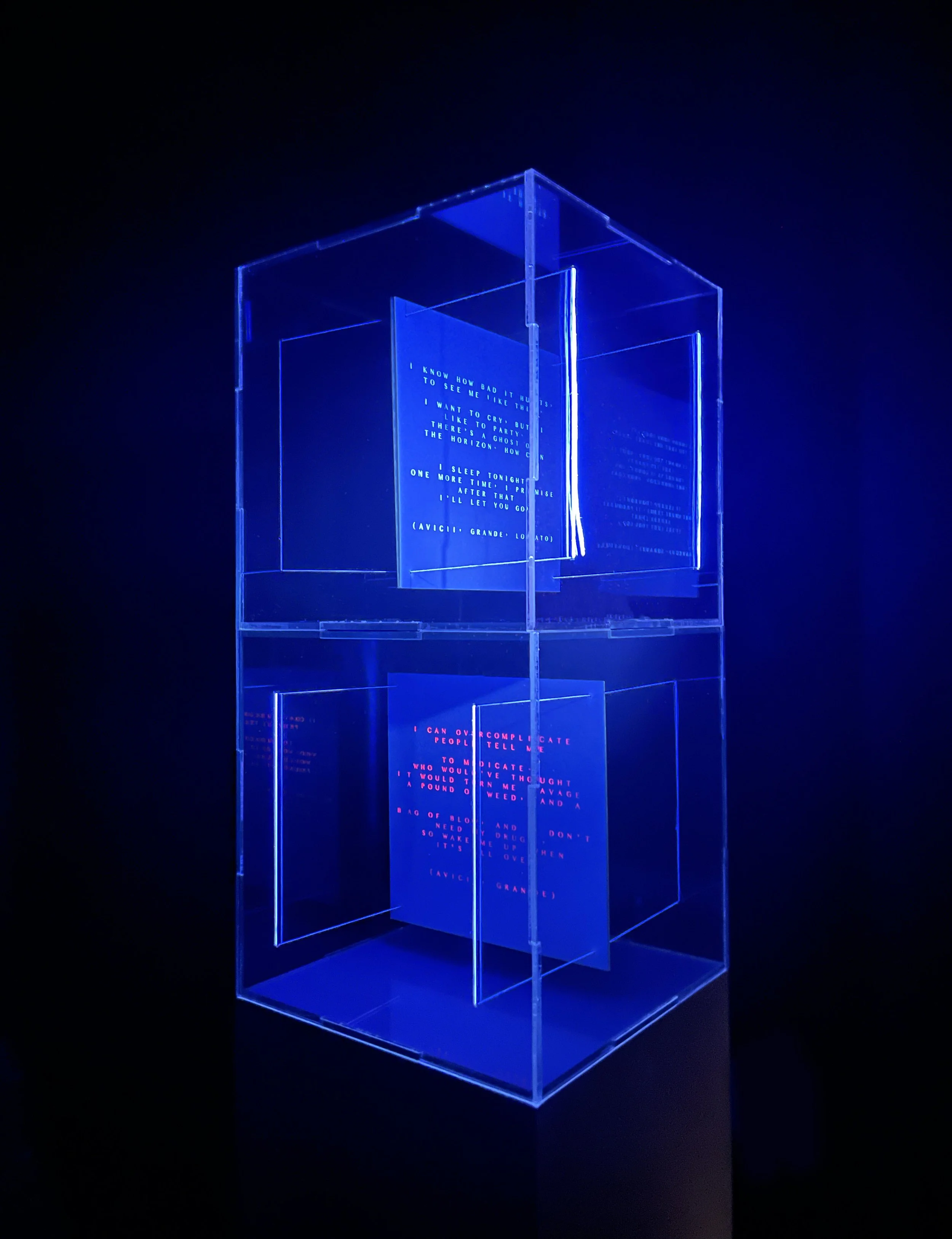 Usurper_Install View 02.jpeg