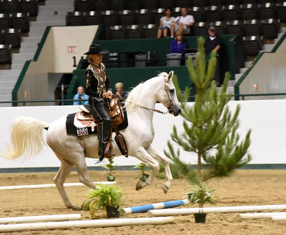 Author Lois Greiman on her horse, Sage