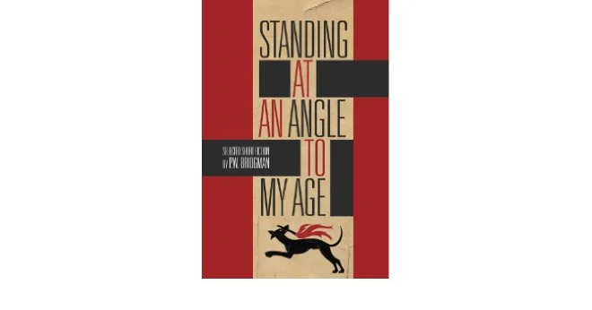 standing-at-an-angle-to-my-age.jpg