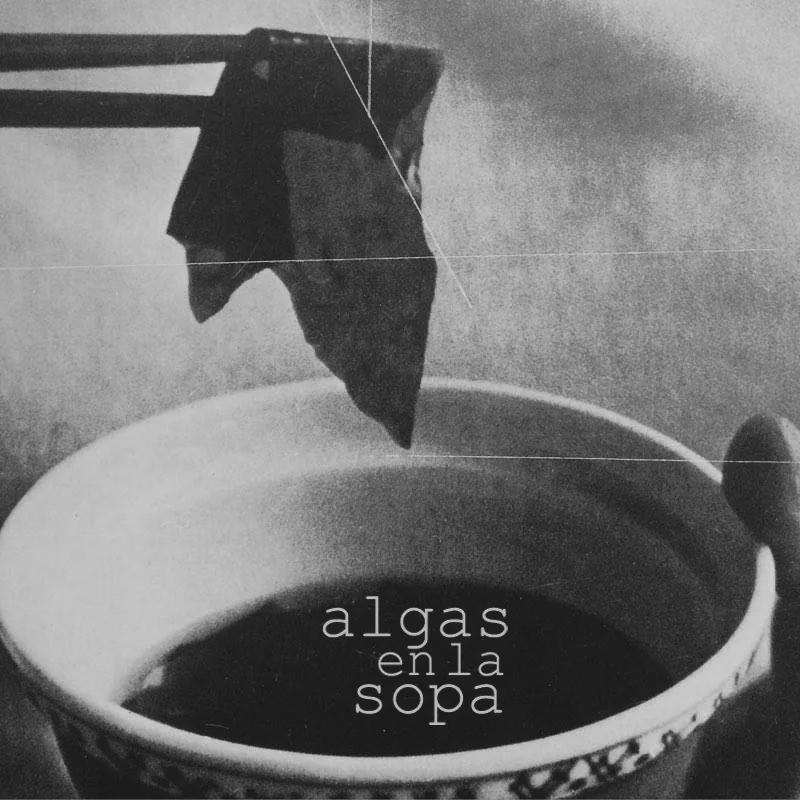 algaenlasopa.jpg