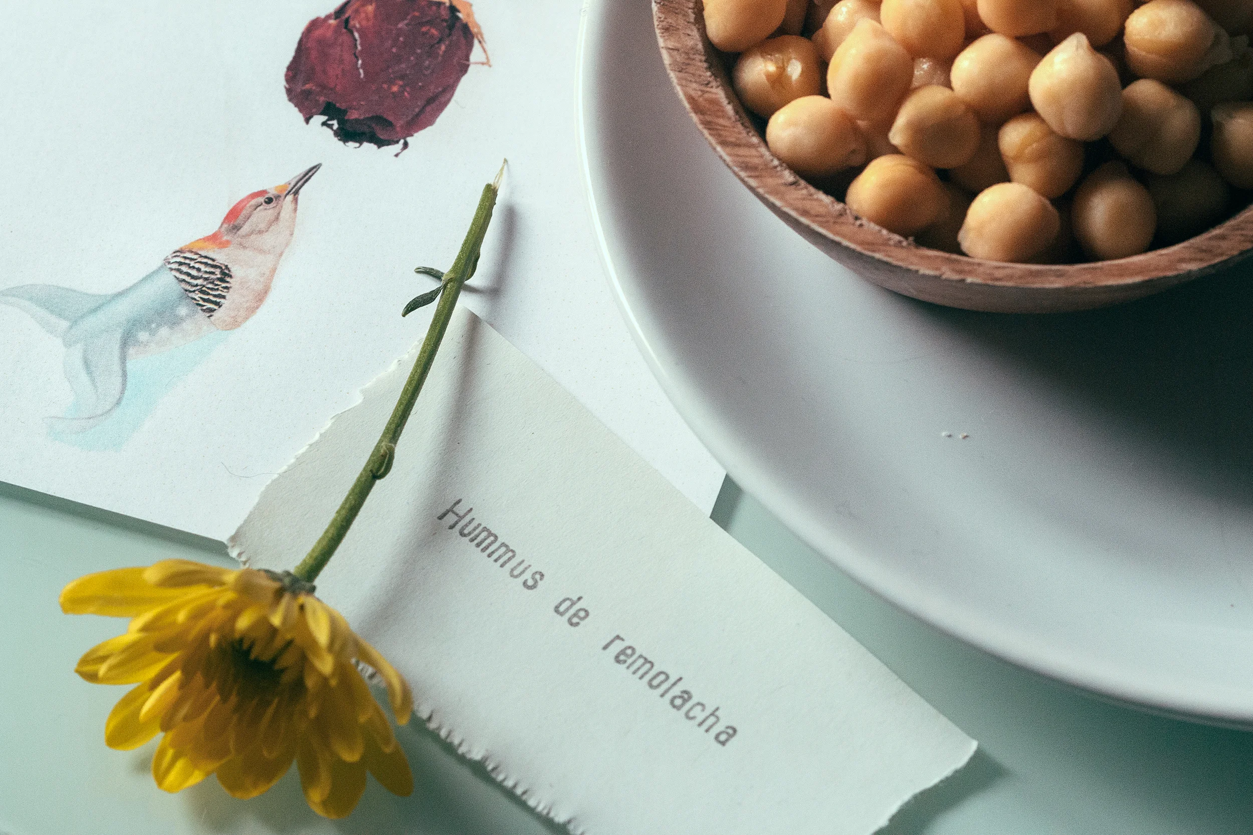 fotografía ©NataliaRomay http://fuetmagazine.com/ropa-tendida-un-fanzine-que-sabe-a-primavera/