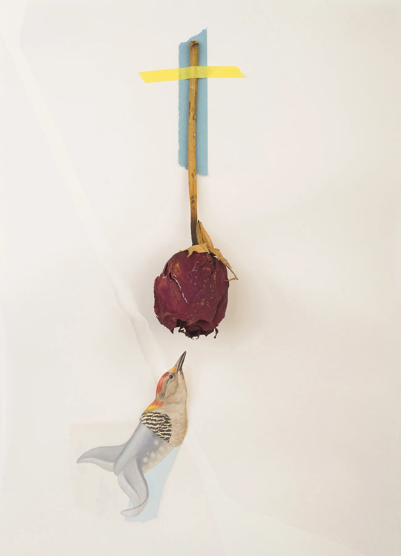 Collage ©NataliaRomay fotografía ©RodrigoGarcía http://vein.es/ropa-tendida-fanzine-renace-nuevo-equinoccio/