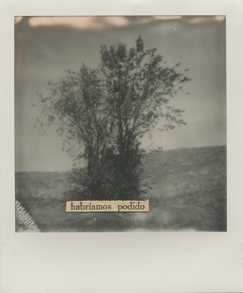 Polaroid 3 -Natalia Romay.jpg