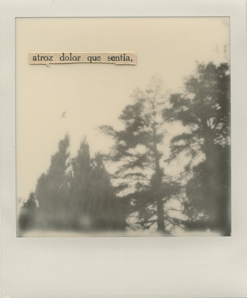 Polaroid 6 -Natalia Romay.jpg