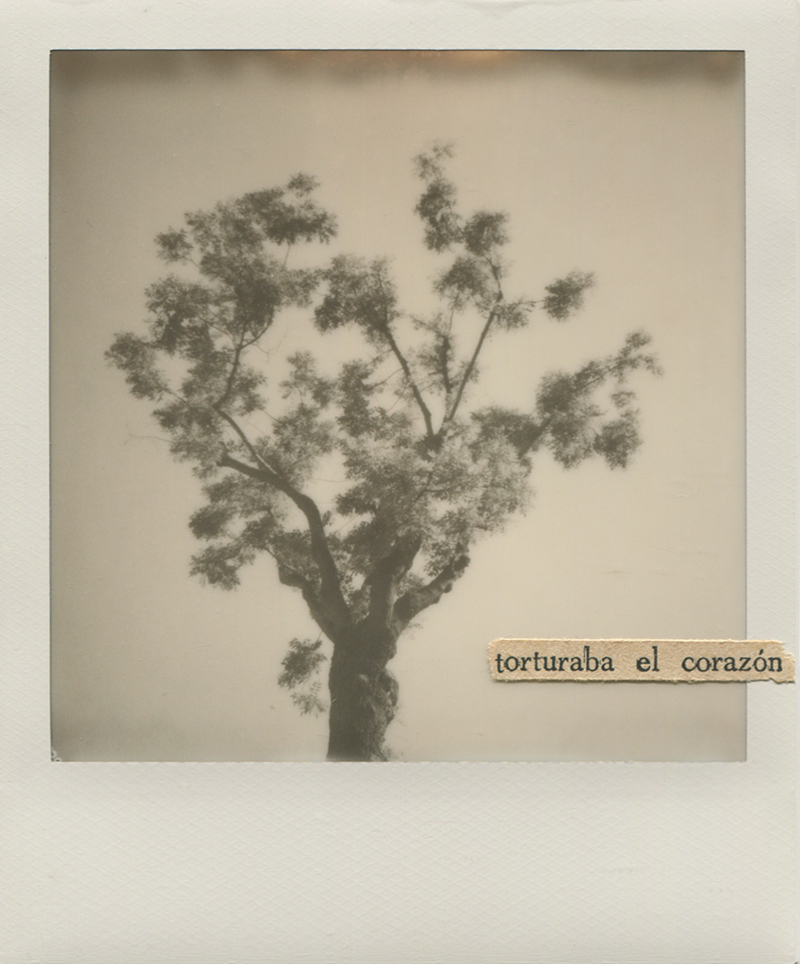 Polaroid 14 - Natalia Romay.jpg