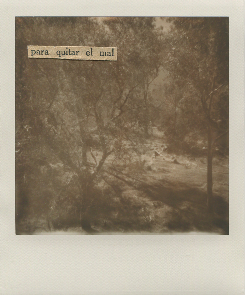 Polaroid 24 - NataliaRomay.jpg