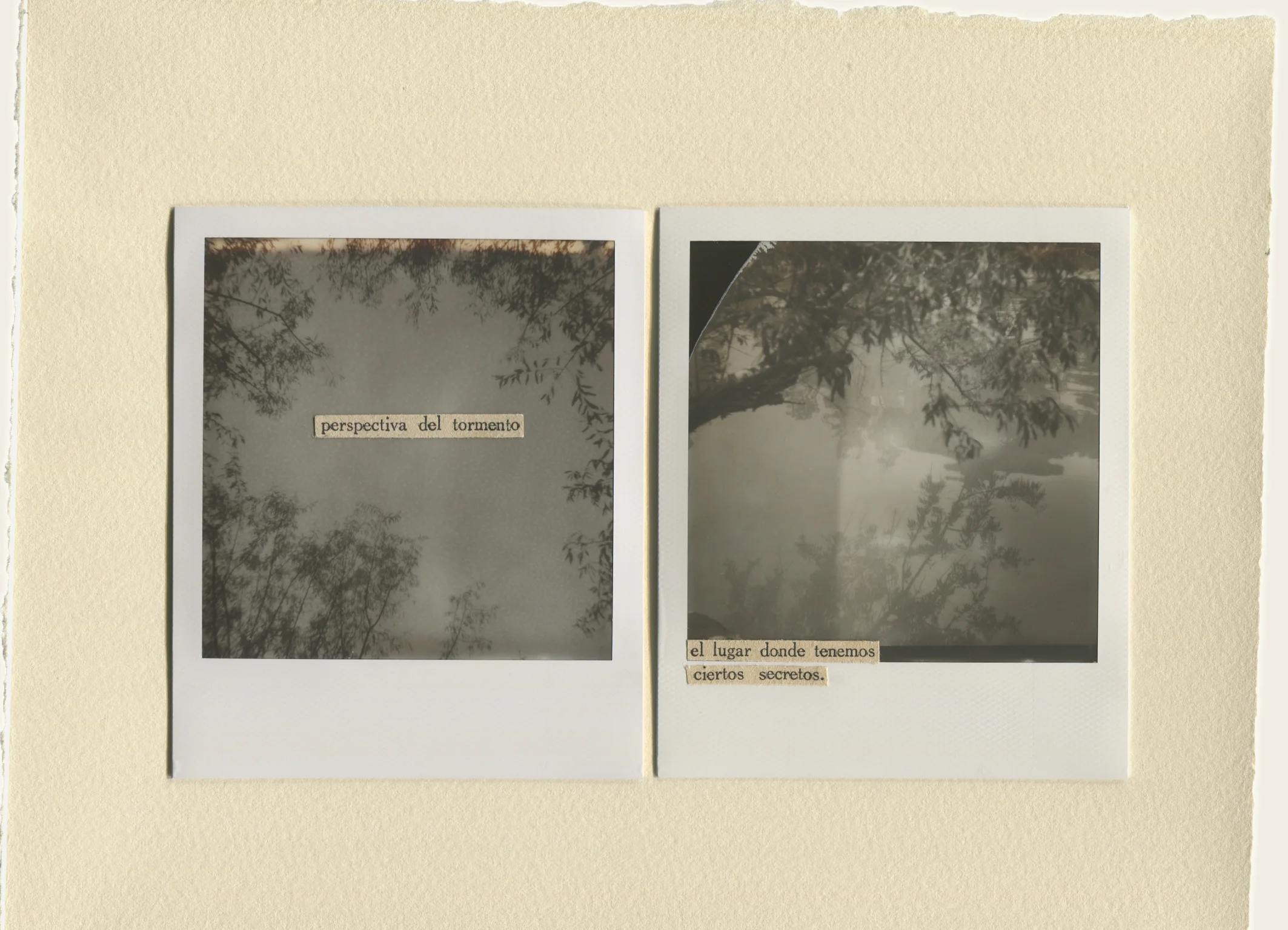 Polaroid 4 - Nati Romay.jpg