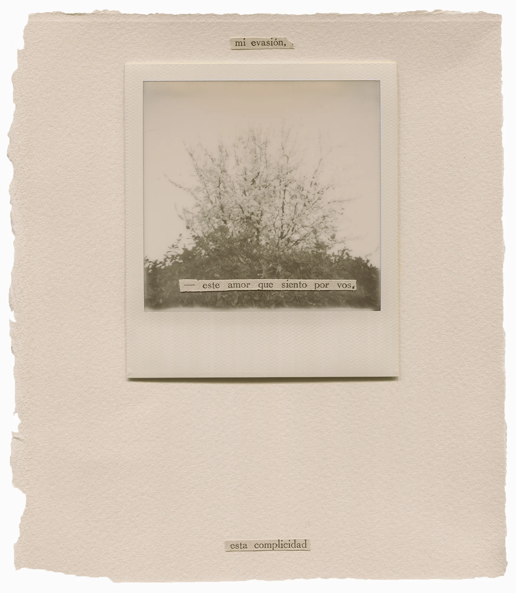 Fotografía y collage ©Natalia Romay https://godartlab.com/2017/12/14/arte-por-una-buena-causa/