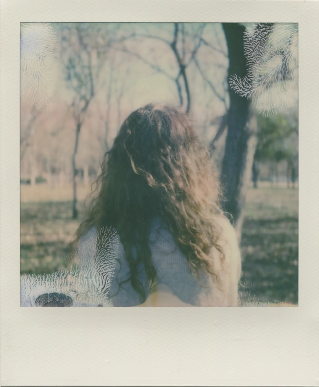 Constelaciones - NataliaRomay20.jpg