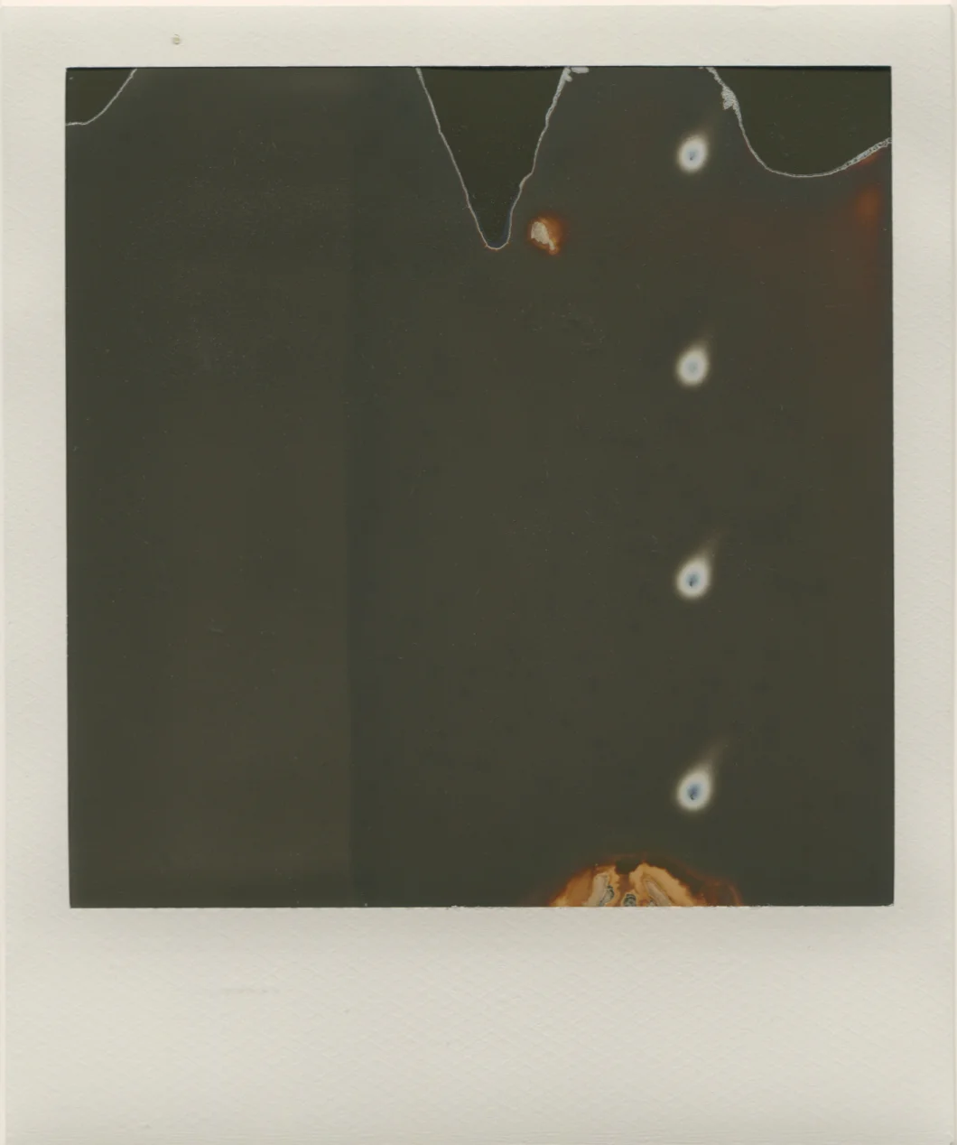 Polaroid rara -NataliaRomay1.jpg