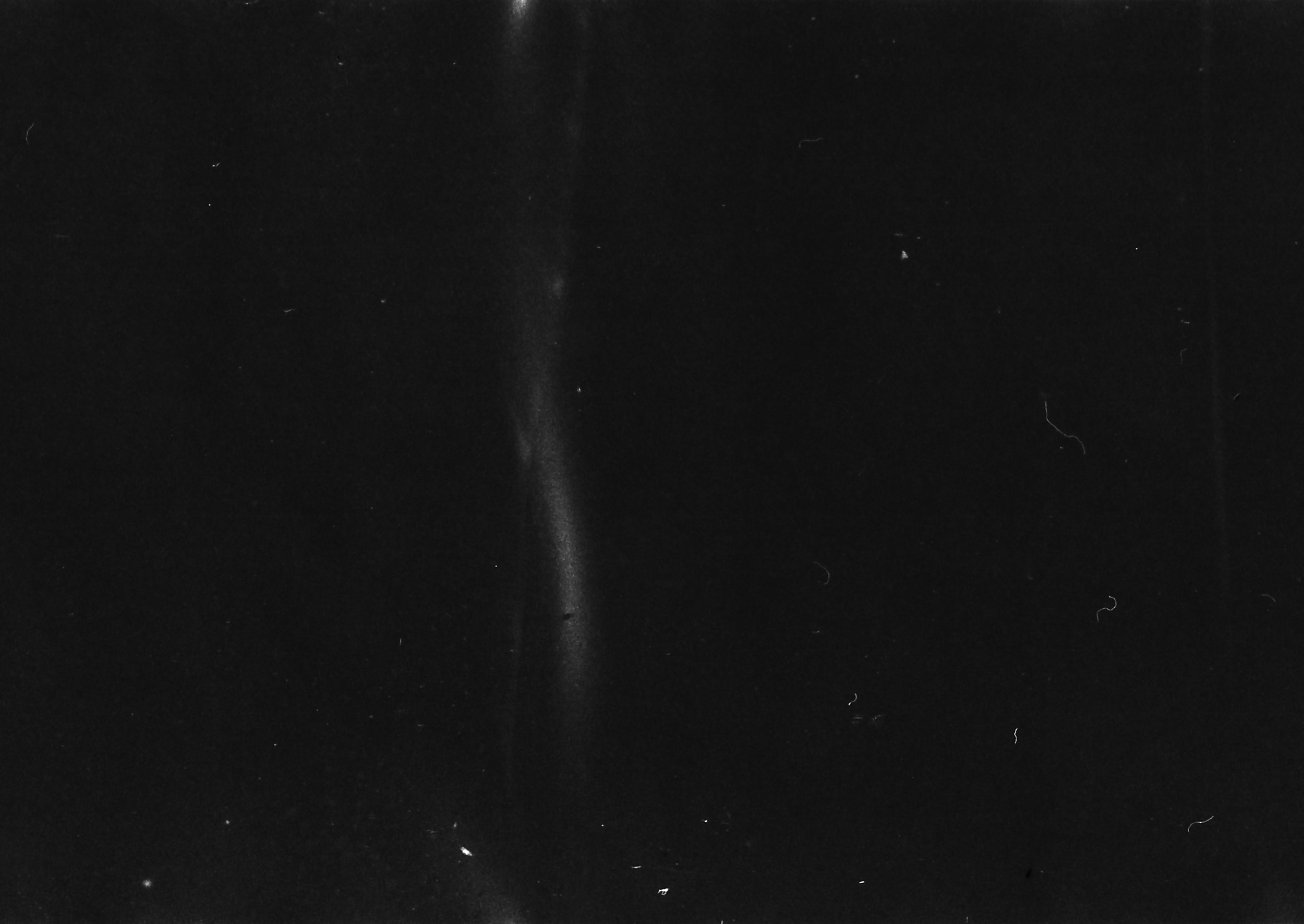 NataliaRomay-iso100dic18-4.jpg
