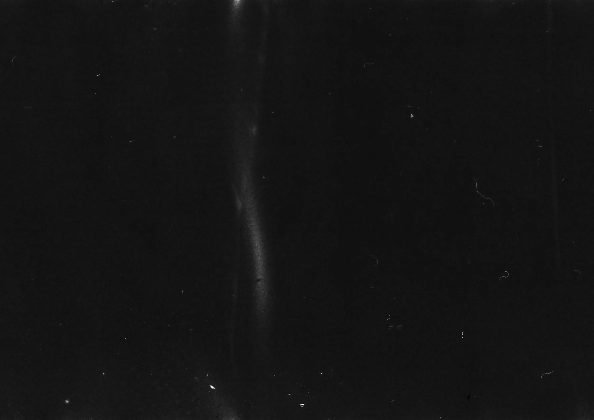 NataliaRomay-iso100dic18-4.jpg