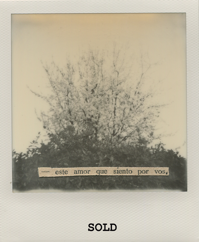 Polaroid 1 - NataliaRomaySOLD.jpg