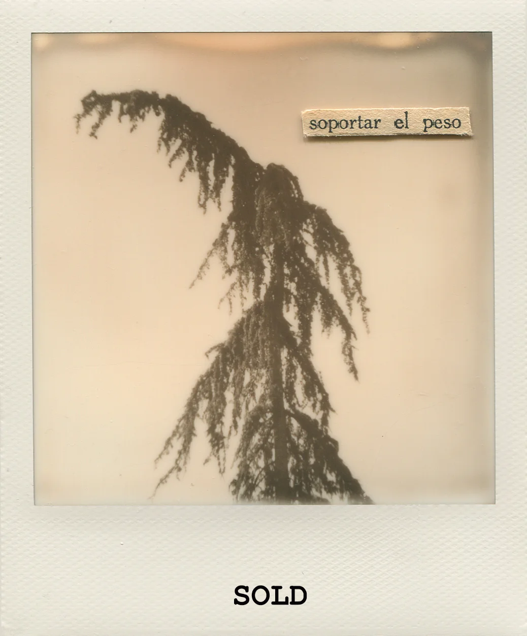 soportar el peso -NataliaRomaySOLD.jpg
