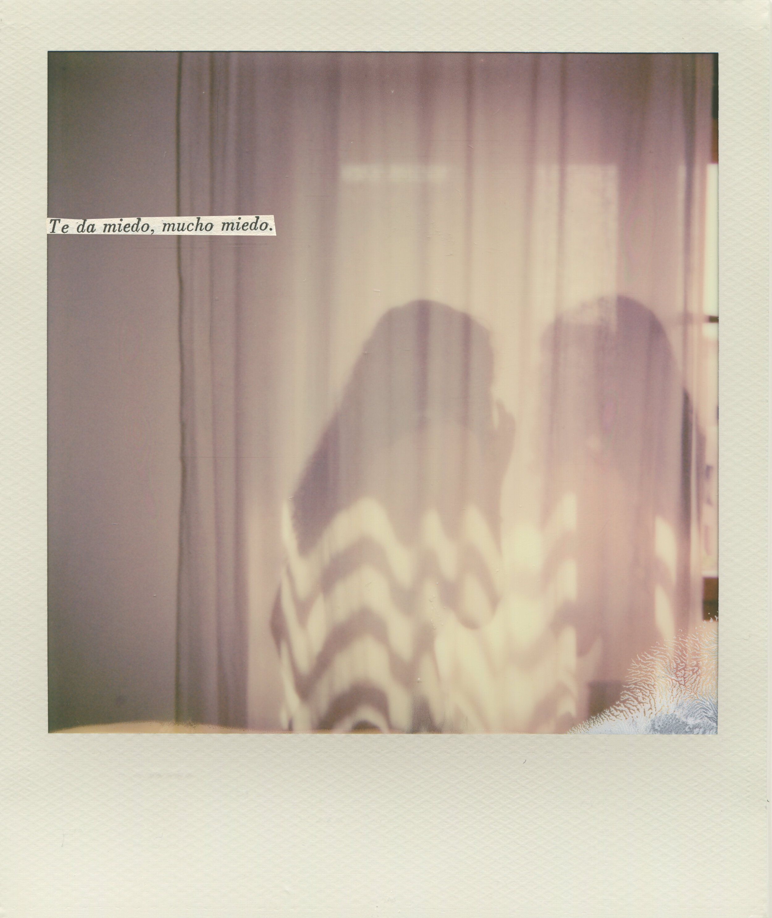 NataliaRomay-Polaroid2bb.jpg