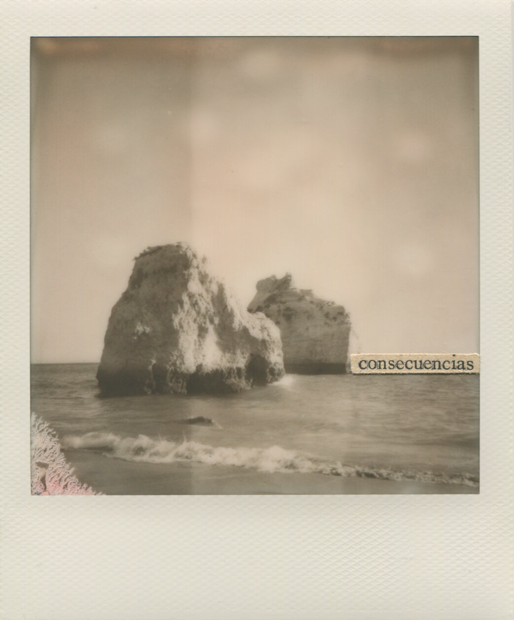 Polaroid 22 - Natalia Romay.jpg