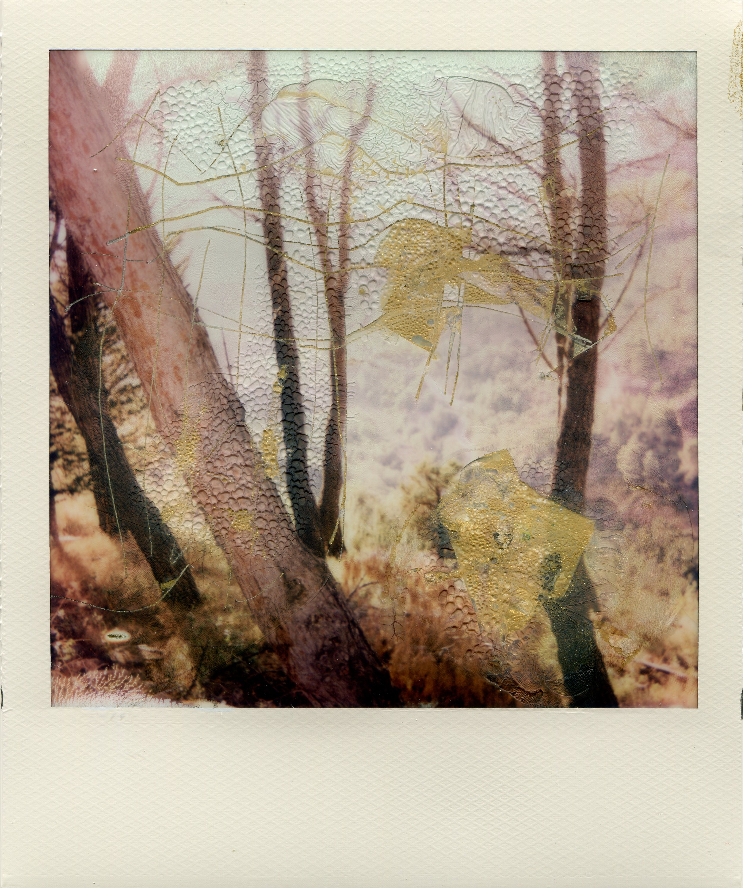 Polaroid-NRomay-Ciurana-pintura6.jpg