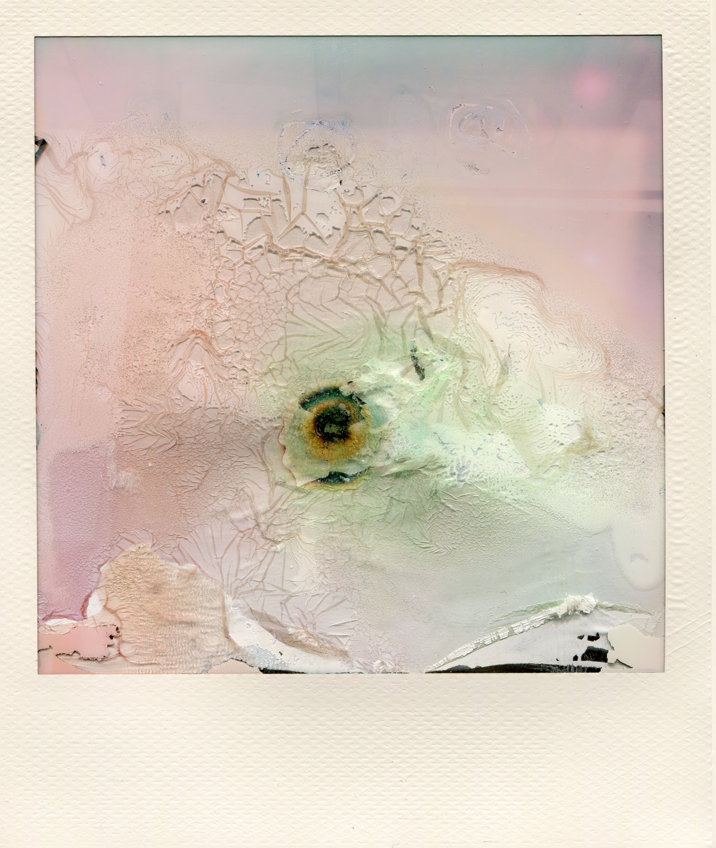 Damaged polaroid-NataliaRomay4.jpg